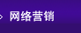 網絡推廣與營銷